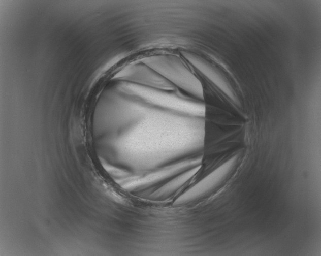 X0000080791018200701122142