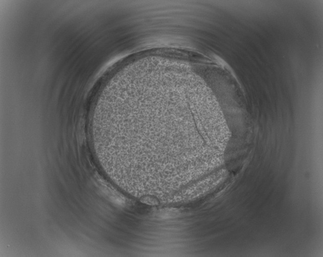 X0000080791019200701122142
