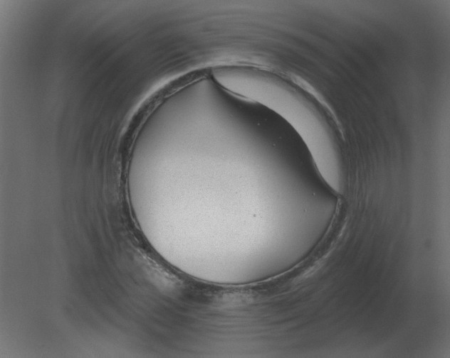 X0000080791021200701122142