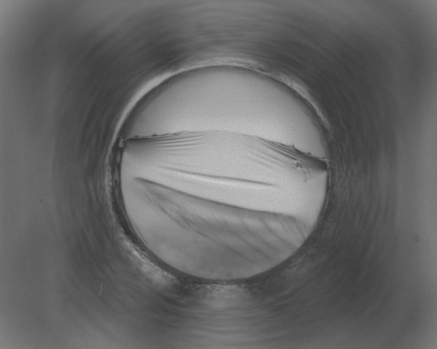 X0000080791024200701122142