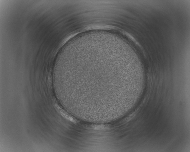 X0000080791025200701122142