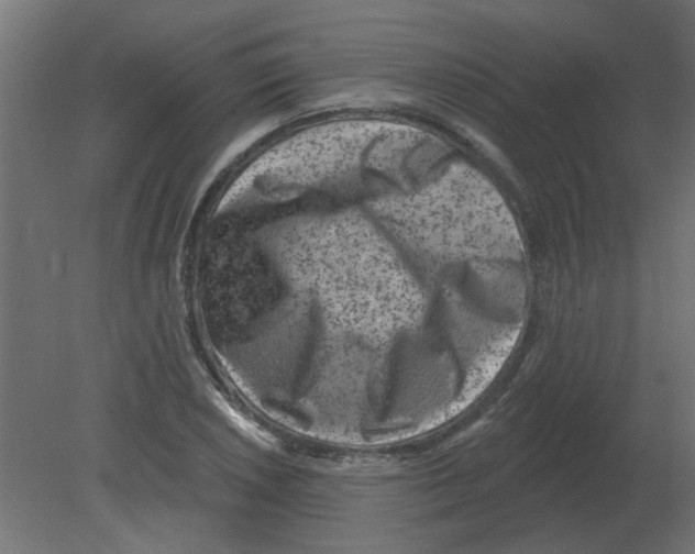 X0000080791026200701122142