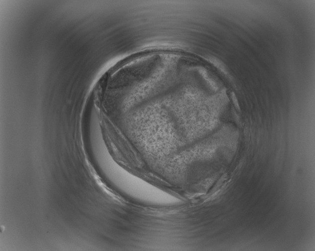 X0000080791030200701122142