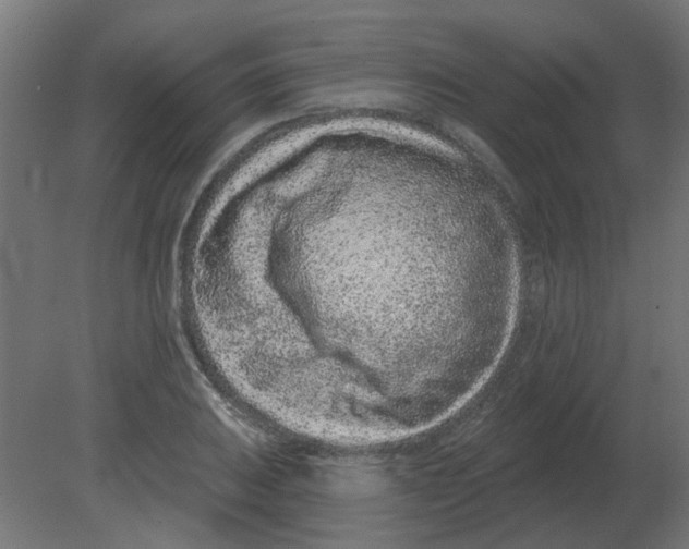 X0000080791031200701122142