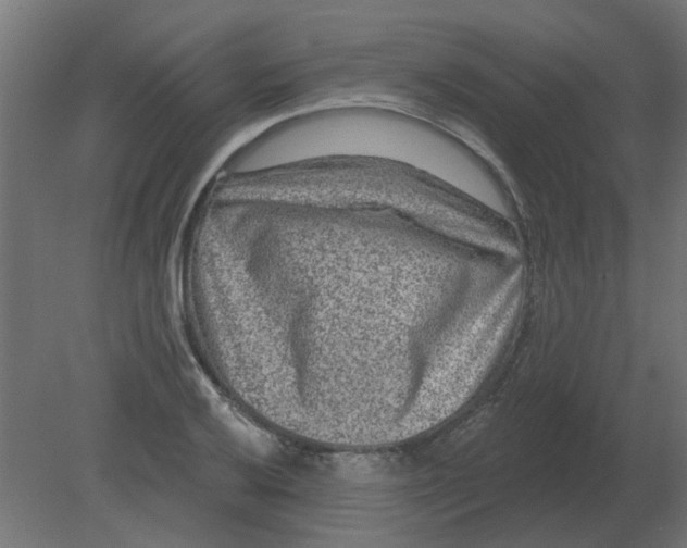 X0000080791032200701122142