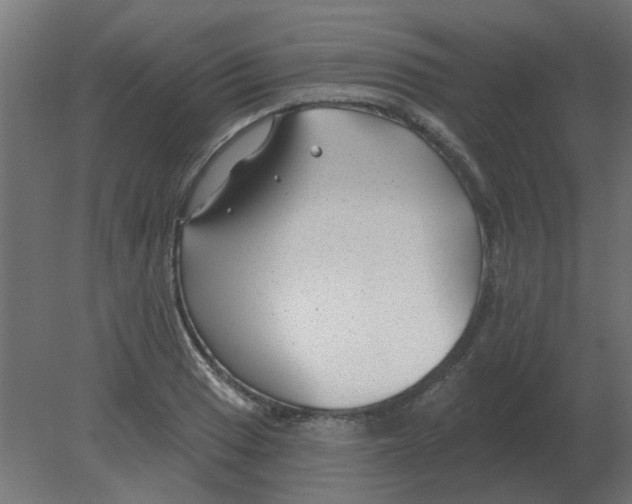 X0000080791033200701122142