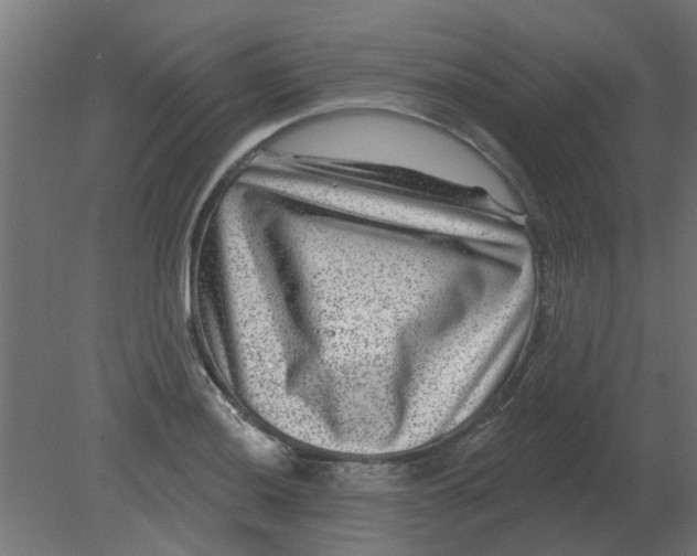 X0000080791036200701122142