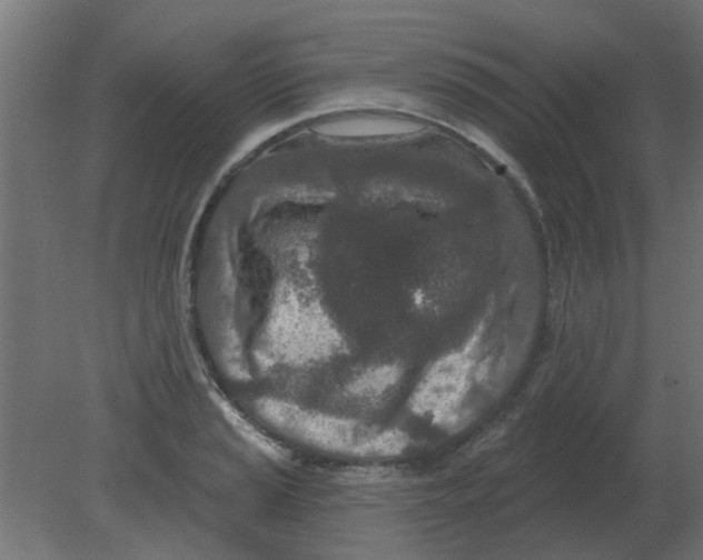 X0000080791037200701122142