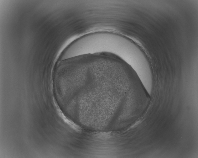 X0000080791038200701122142