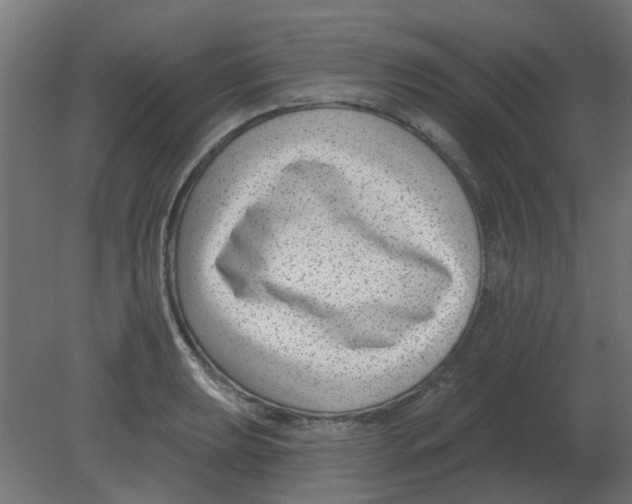 X0000080791039200701122142