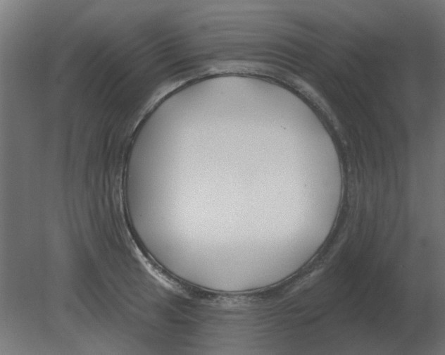 X0000080791041200701122142