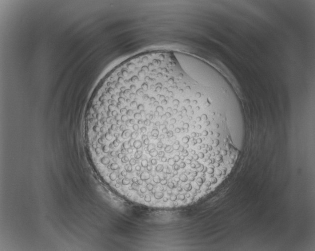 X0000080791044200701122142