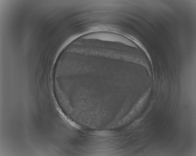 X0000080791045200701122142