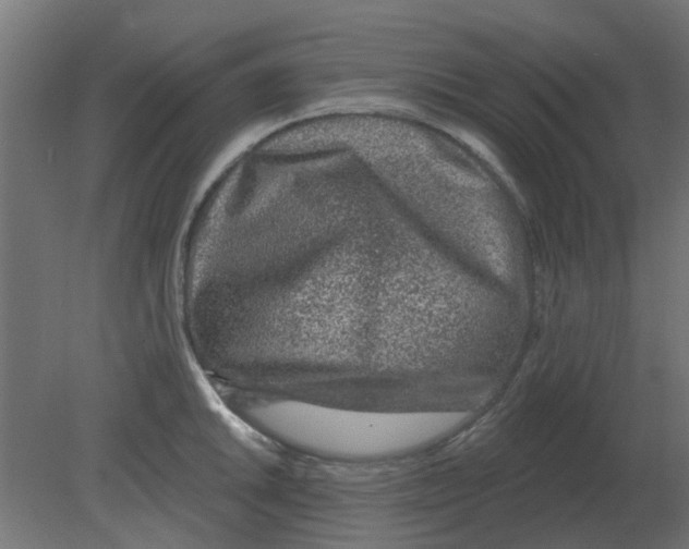 X0000080791046200701122142