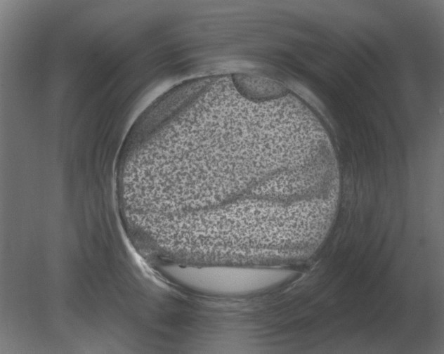 X0000080791047200701122142