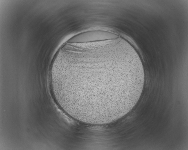 X0000080791048200701122142