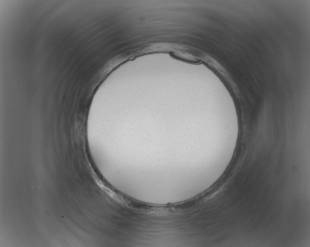 X0000080791049200701122142