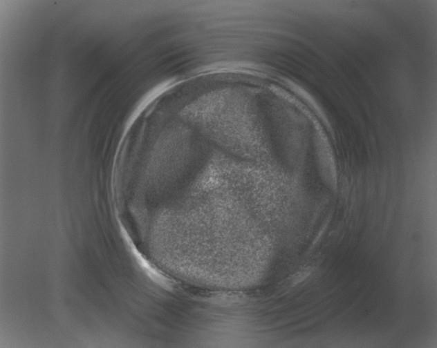 X0000080791050200701122143