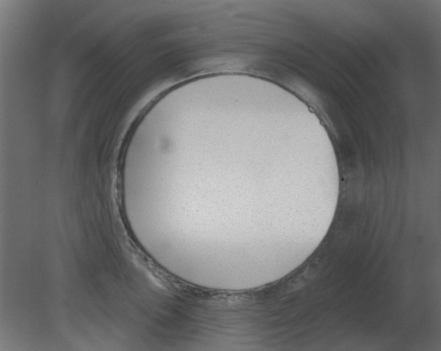 X0000080791051200701122143