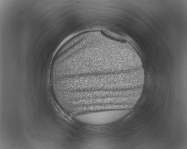 X0000080791052200701122143