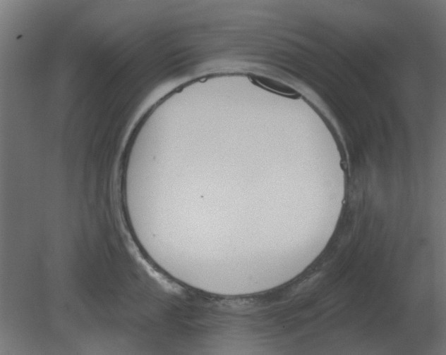 X0000080791053200701122143