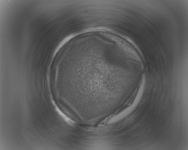 X0000080791054200701122143