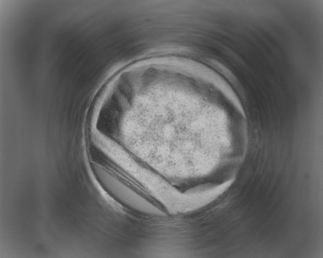 X0000080791055200701122143