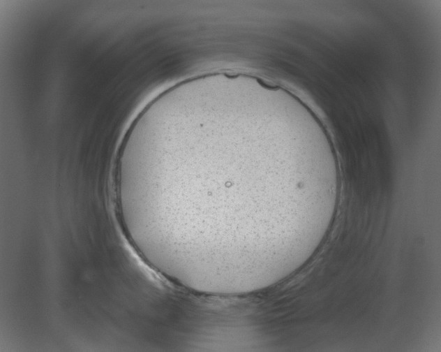 X0000080791056200701122143