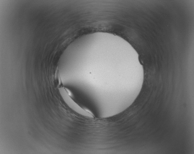 X0000080791058200701122142