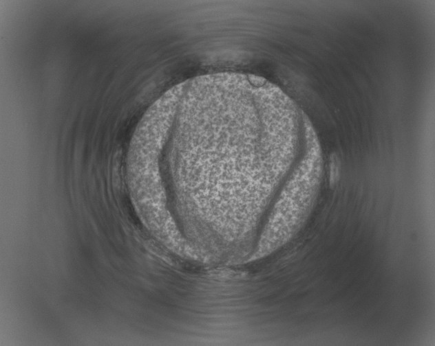 X0000080791059200701122142