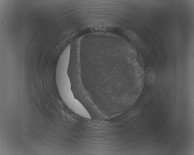 X0000080791060200701122142