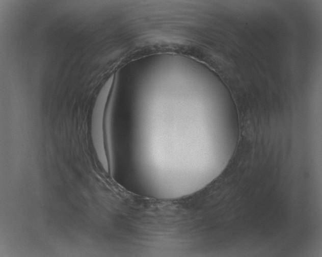 X0000080791061200701122142