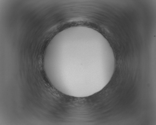 X0000080791062200701122142