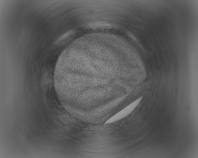X0000080791063200701122142