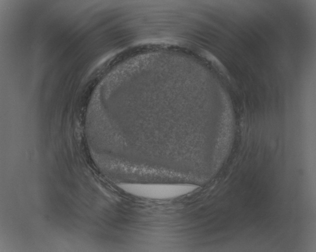 X0000080791064200701122142