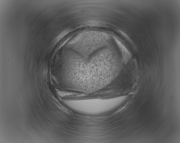 X0000080791065200701122142