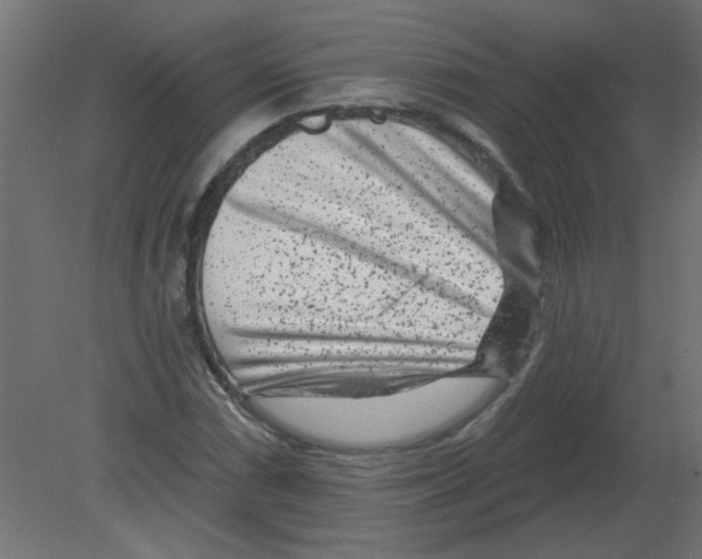 X0000080791066200701122142