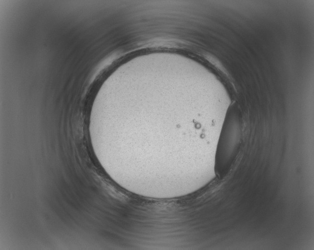 X0000080791067200701122142