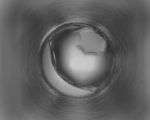 X0000080791069200701122142