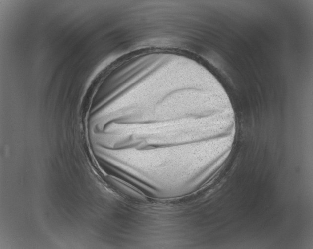 X0000080791070200701122142