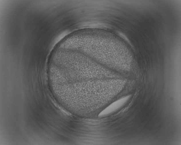 X0000080791071200701122142