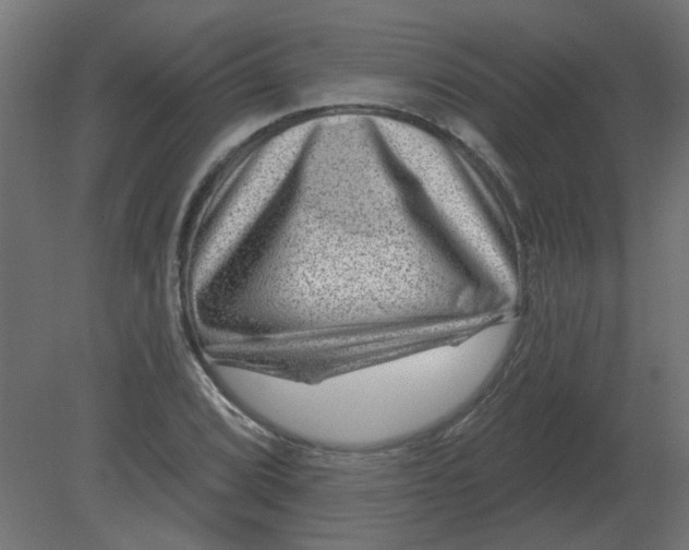 X0000080791072200701122142