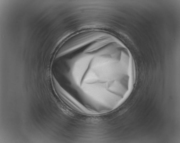 X0000080791073200701122142