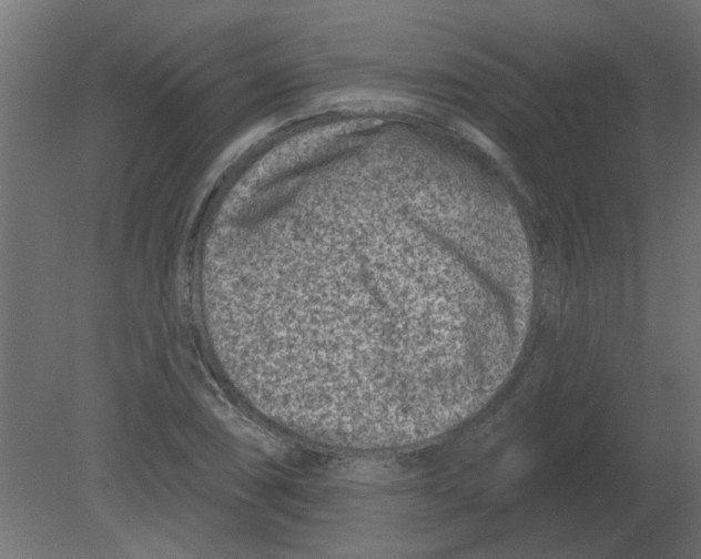 X0000080791074200701122142