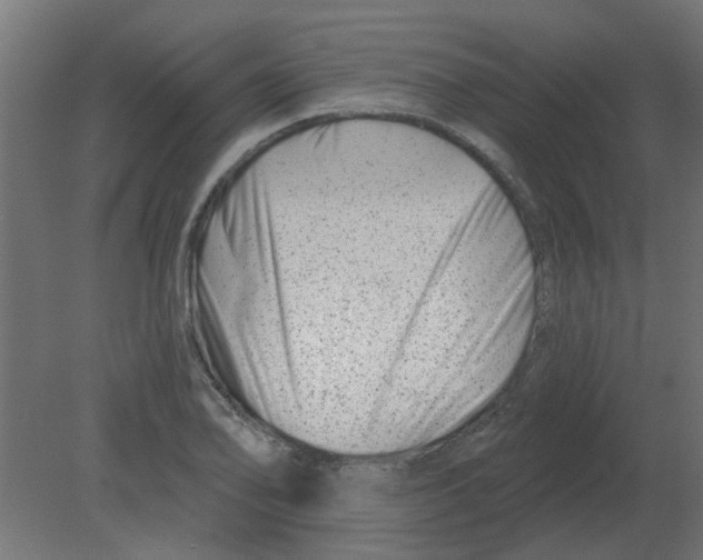 X0000080791078200701122141