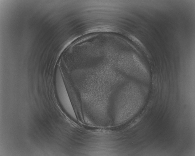 X0000080791081200701122141