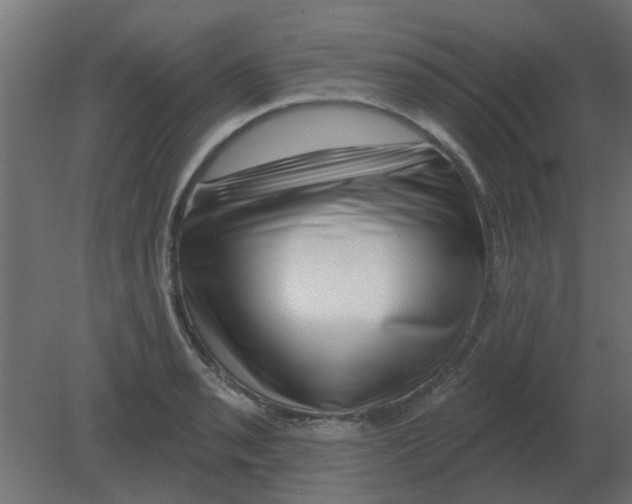 X0000080791085200701122141