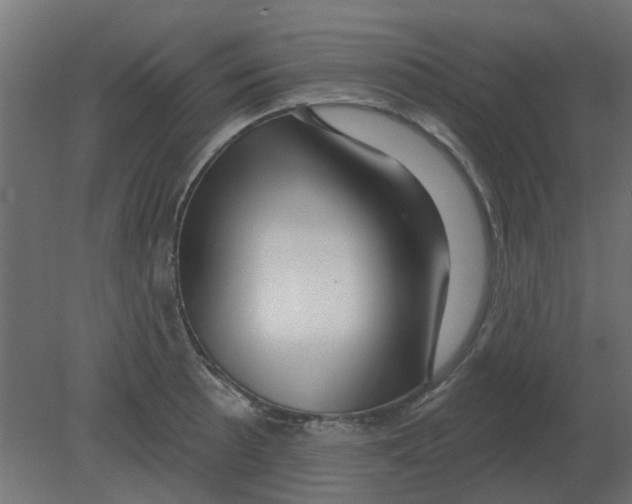 X0000080791089200701122141
