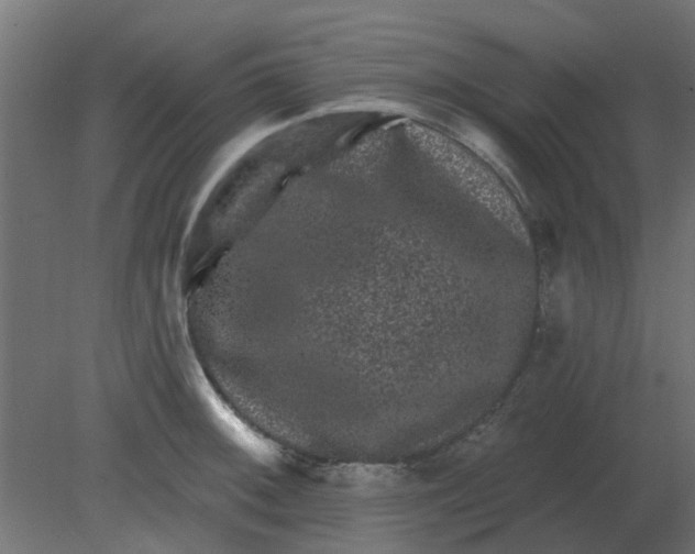 X0000080791092200701122141