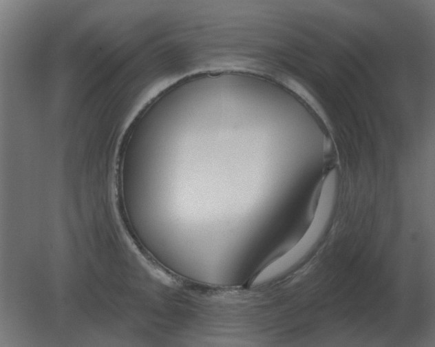 X0000080791093200701122141
